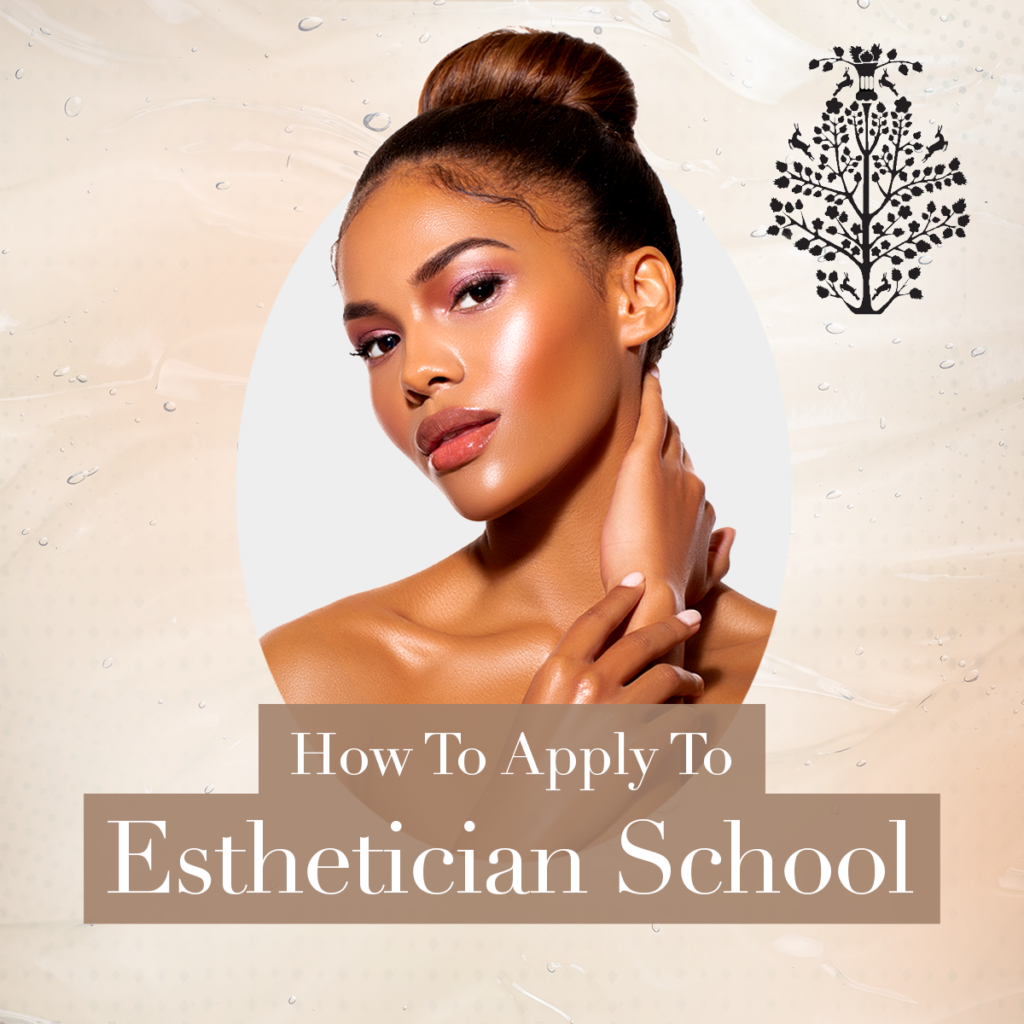 esthetician school